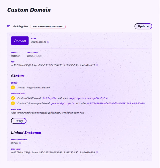 Custom domain pane